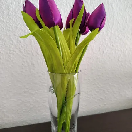 Apartamento Pasaje De Santoña